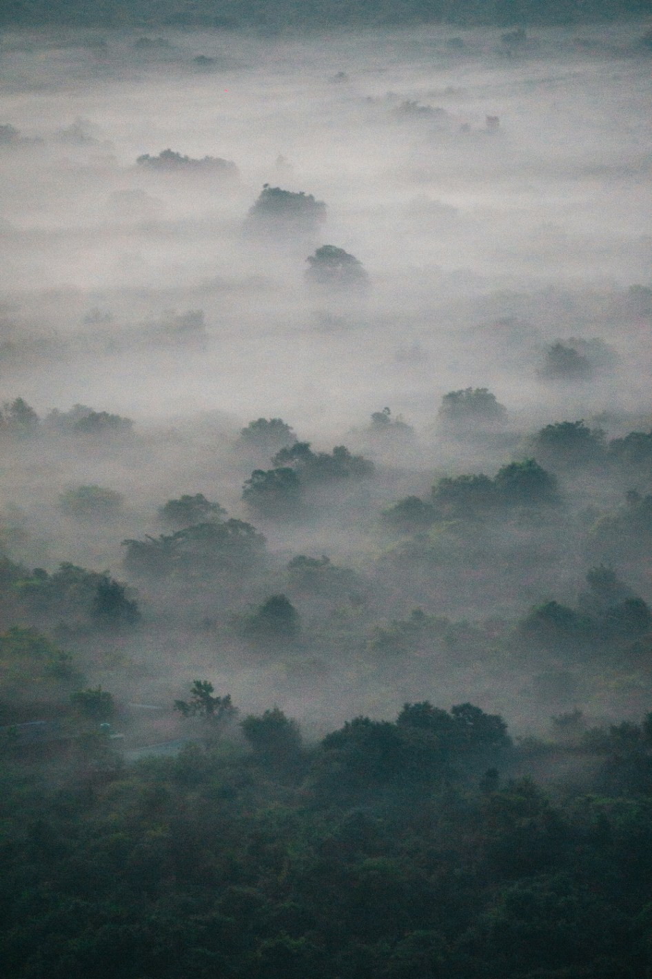 Hill Country Mist