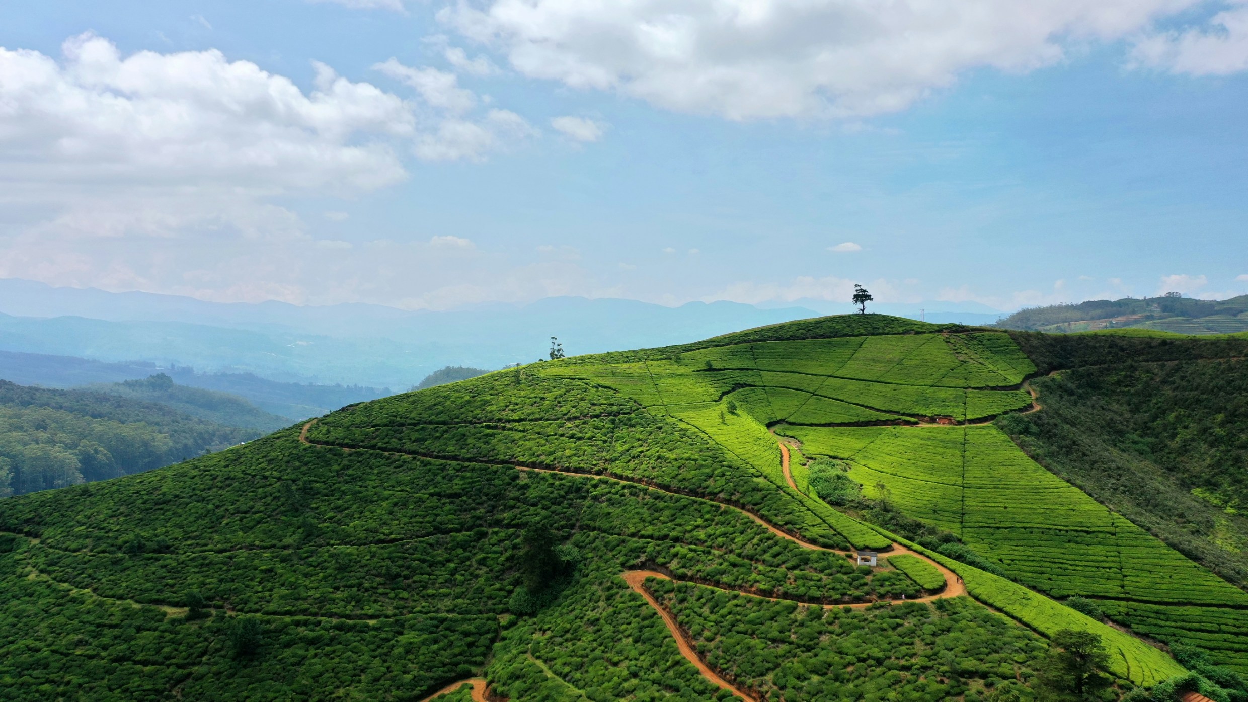 Nuwara Eliya